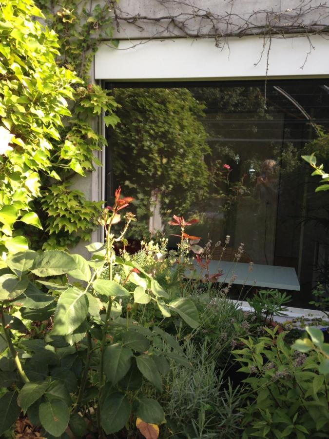 Gästezimmer Fischergarten Solothurn Exterior foto