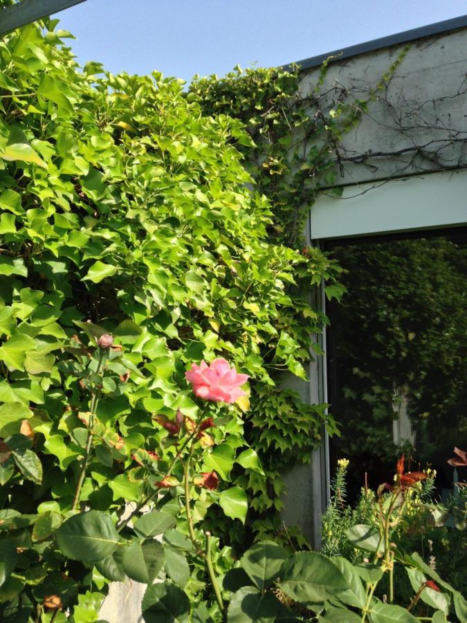 Gästezimmer Fischergarten Solothurn Exterior foto